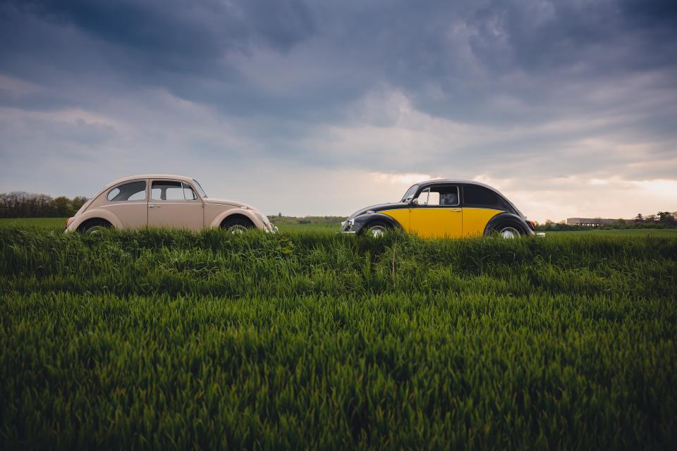 Cars Drive